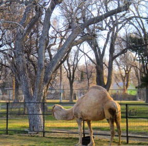 Lee Richardson Zoo – Garden City, Kansas | Where To Go – Travel USA